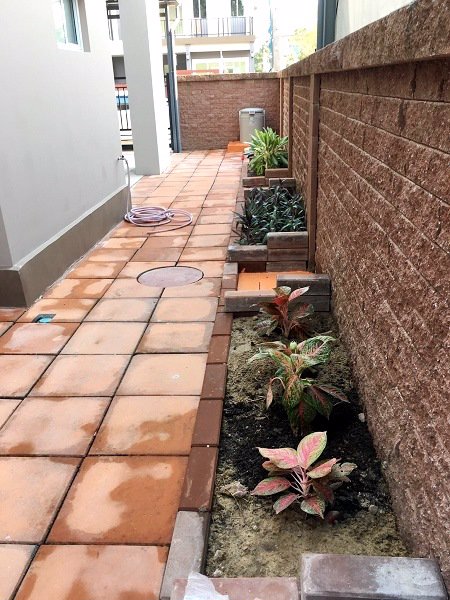 ขาย-และ-ให้เช่าบ้านเดี่ยว-มบ-ภัสสร-เพรสทีจ-ลุกซ์-พัฒนาการ-3-นอน-3-น้ำ-60-ตรว-เฟอร์พร้อม