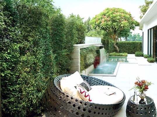 ขายบ้านเดี่ยว-มบลดาวัลย์-รัตนาธิเบศร์-ติดสถานีรถไฟฟ้า-บางรักน้อยท่าอิฐ-พื้นที่-170-ตรว-4-นอน-4น้ำ