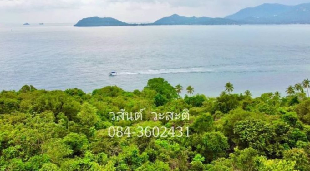 ขายที่ดิน-บนเกาะแตน-ใกล้เกาะสมุย-