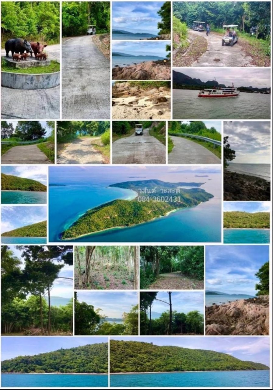 ขายที่ดิน-บนเกาะแตน-ใกล้เกาะสมุย-