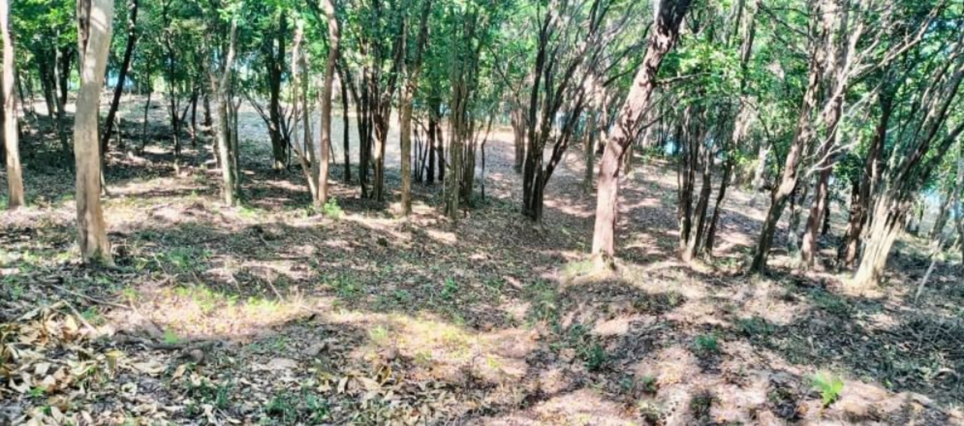 ขายที่ดิน-บนเกาะแตน-ใกล้เกาะสมุย-