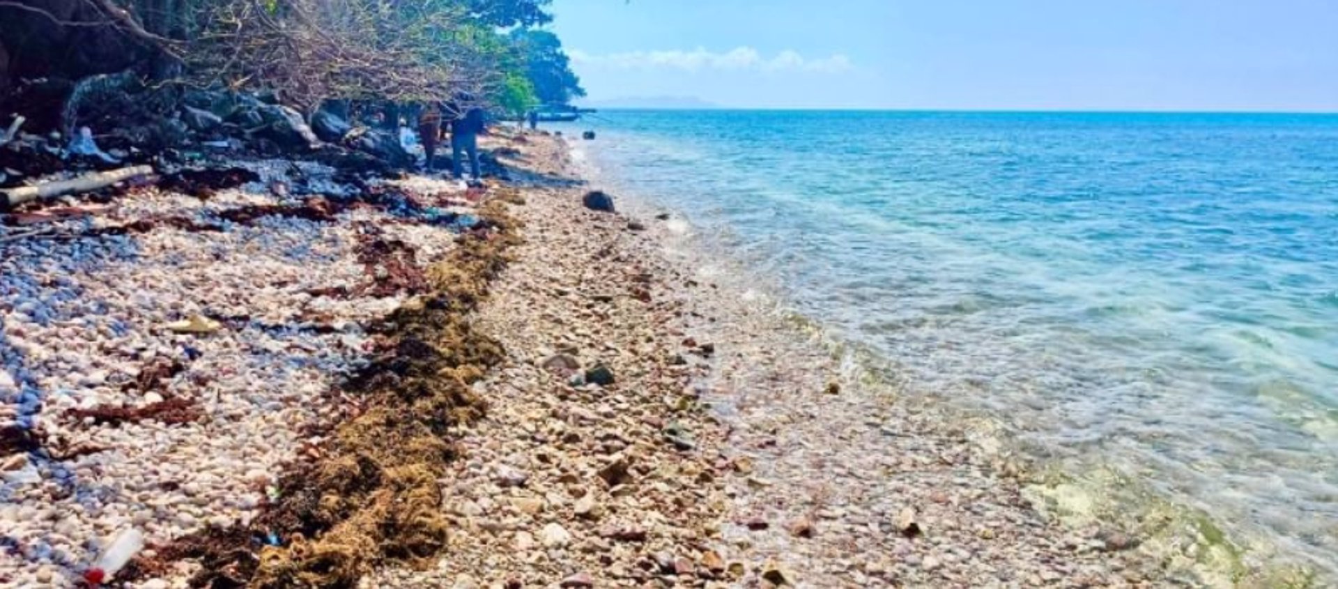 ขายที่ดิน-บนเกาะแตน-ใกล้เกาะสมุย-