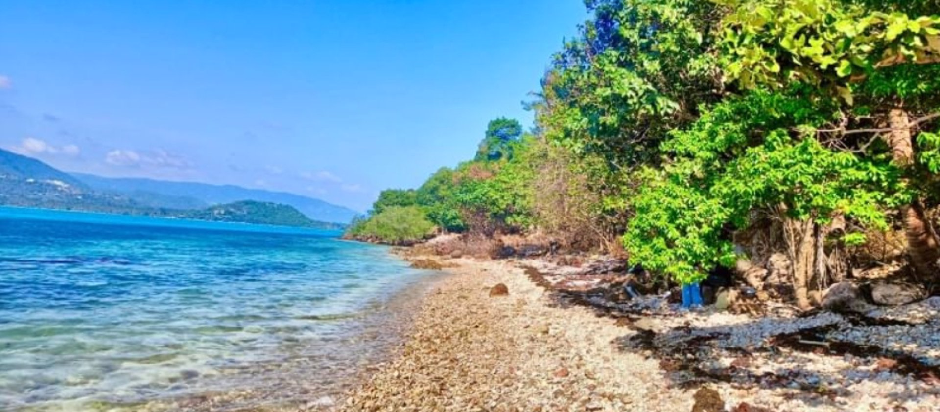 ขายที่ดิน-บนเกาะแตน-ใกล้เกาะสมุย-