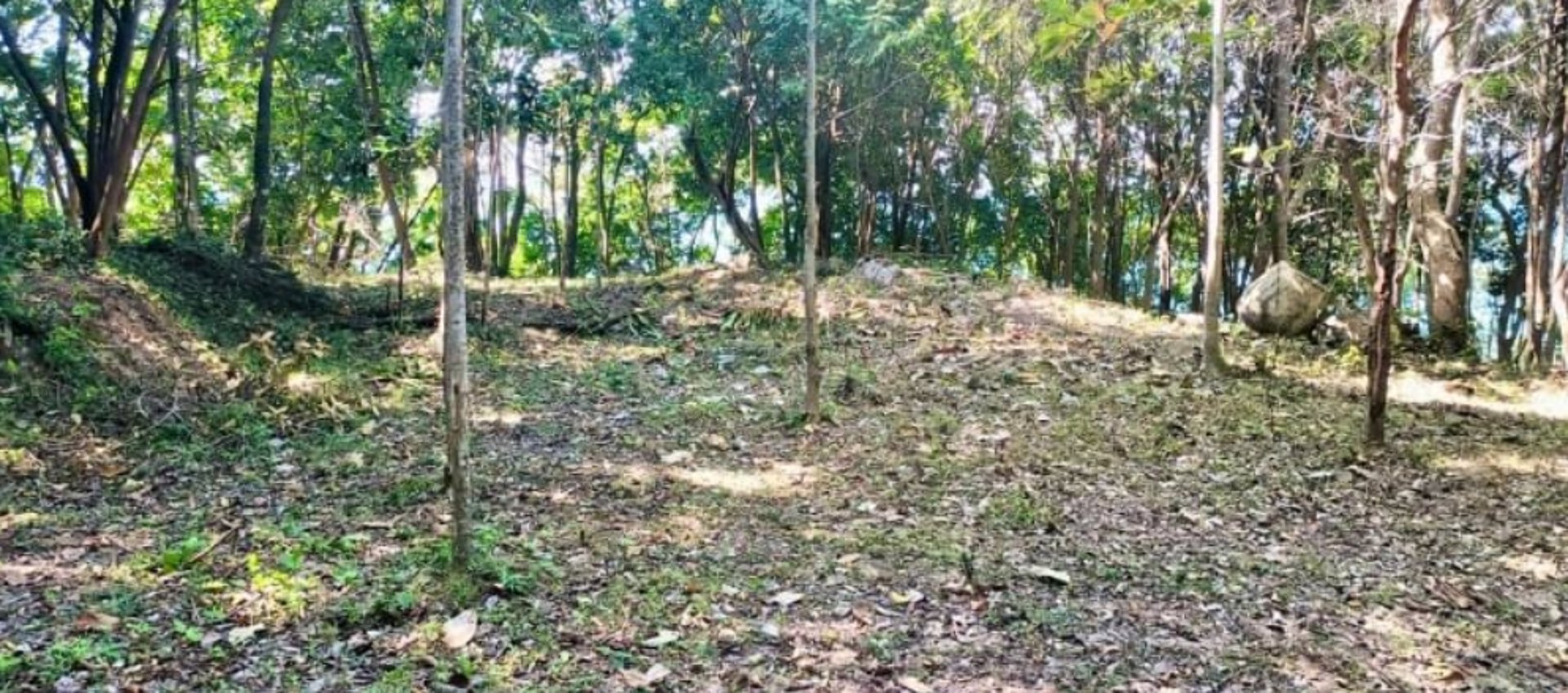 ขายที่ดิน-บนเกาะแตน-ใกล้เกาะสมุย-