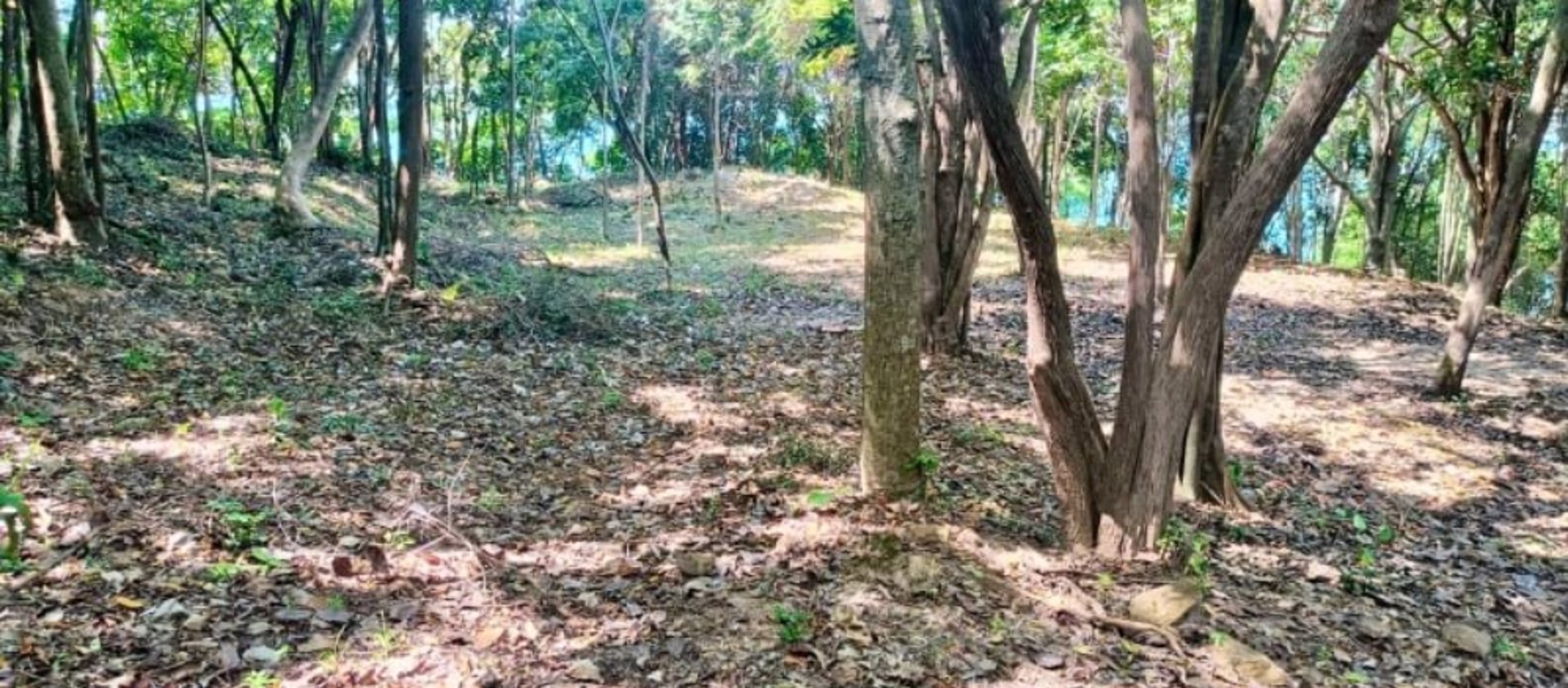 ขายที่ดิน-บนเกาะแตน-ใกล้เกาะสมุย-