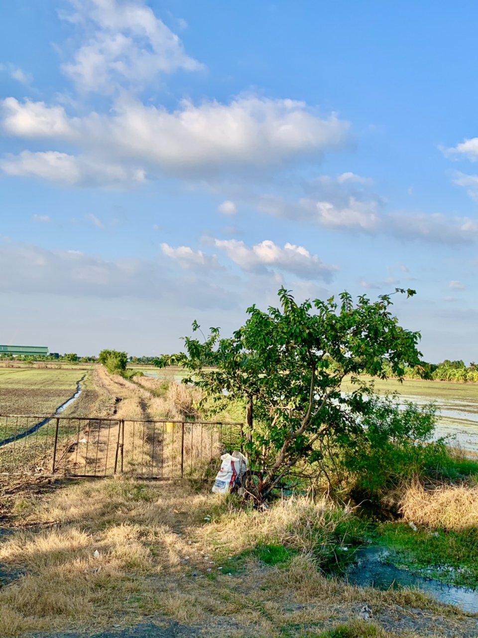 ขายที่ดินโฉนด-ผืนใหญ่-พื้นที่-21-ไร่เศษ-ลำลูกกาคลอง-13-หน้ากว้างติดถนนทางหลวง-3312