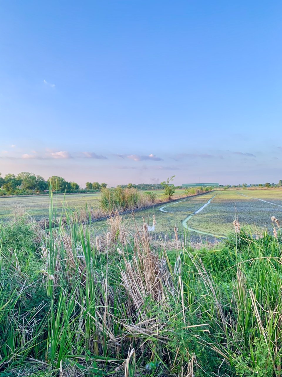 ขายที่ดินโฉนด-ผืนใหญ่-พื้นที่-21-ไร่เศษ-ลำลูกกาคลอง-13-หน้ากว้างติดถนนทางหลวง-3312