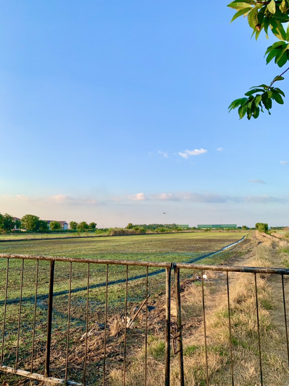 ขายที่ดินโฉนด-ผืนใหญ่-พื้นที่-21-ไร่เศษ-ลำลูกกาคลอง-13-หน้ากว้างติดถนนทางหลวง-3312