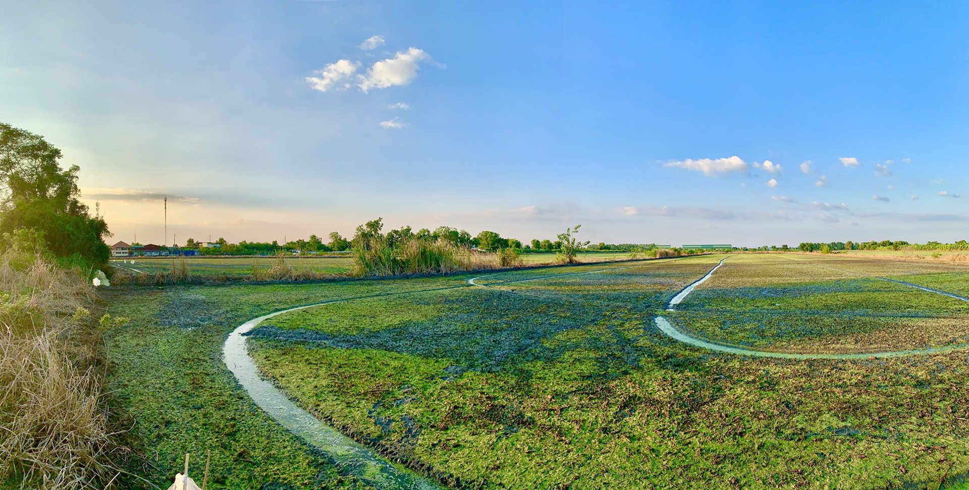 ขายที่ดินโฉนด-ผืนใหญ่-พื้นที่-21-ไร่เศษ-ลำลูกกาคลอง-13-หน้ากว้างติดถนนทางหลวง-3312