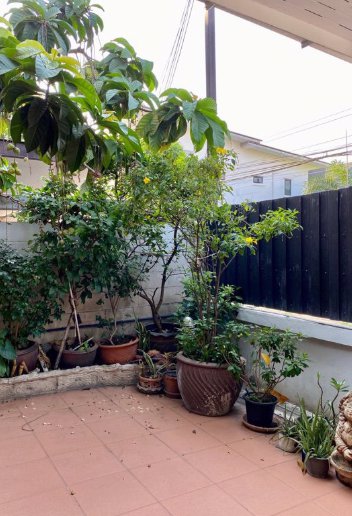 bs048-ขายบ้านเดี่ยว-2-ชั้น-50-ตรว-ซอยนาคนิวาส-18-ย่านประดิษฐมนูญธรรม-ลาดพร้าว-71