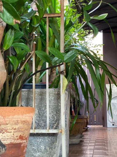 bs048-ขายบ้านเดี่ยว-2-ชั้น-50-ตรว-ซอยนาคนิวาส-18-ย่านประดิษฐมนูญธรรม-ลาดพร้าว-71