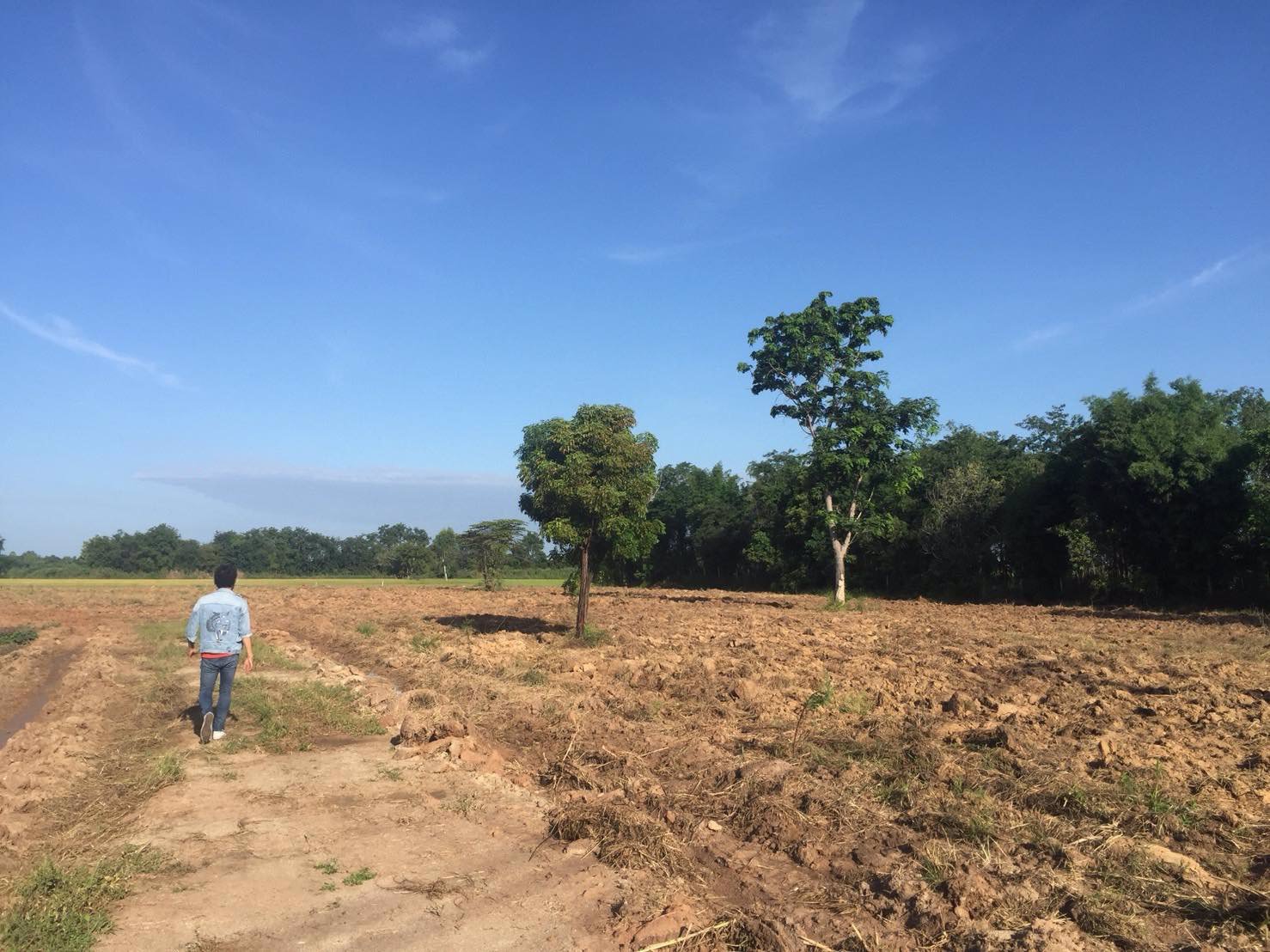 ขายที่ดิน-8-ไร่-3-งาน-ติดถนนสายเอเซีย-อมโนรมย์-จ-ชัยนาท-ฝั่งไปนครสวรรค์-ทำเลดี-ที่สวย