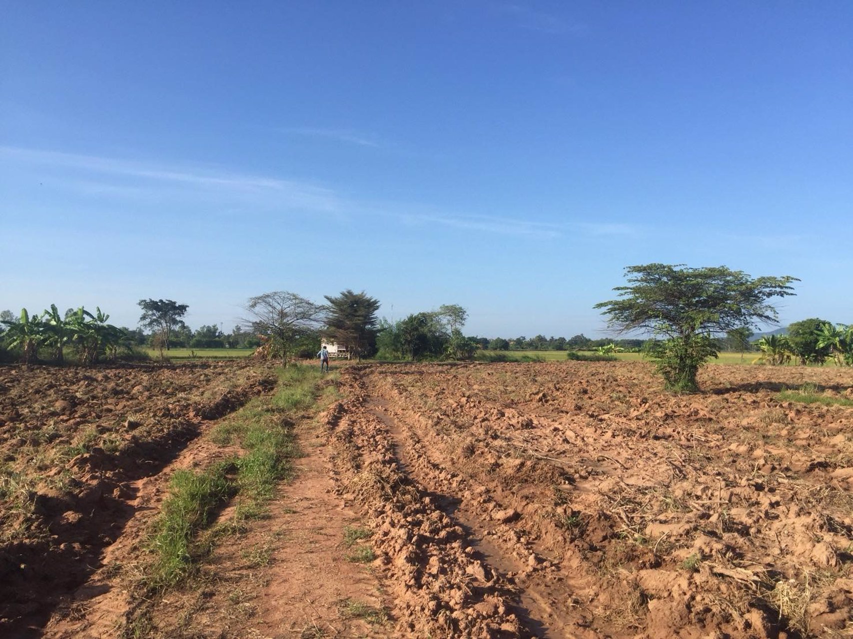 ขายที่ดิน-8-ไร่-3-งาน-ติดถนนสายเอเซีย-อมโนรมย์-จ-ชัยนาท-ฝั่งไปนครสวรรค์-ทำเลดี-ที่สวย