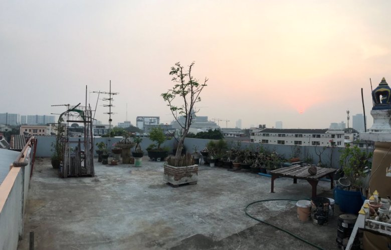 ขายอาคารพาณิชย์-5-ชั้น-2-คูหา-มีดาดฟ้า-เนื้อที่-45-ตรว-ซอยประชาราษฎร์-10-บางซื่อ-ทำเลดี