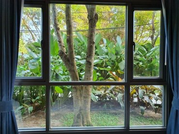 ขายคอนโด-เรน-ชะอำ-หัวหิน-1-ห้องนอน-1-ห้องน้ำ-ชั้น-1-วิวสวน-ใกล้สระว่ายน้ำ-ใกล้ที่จอดรถ