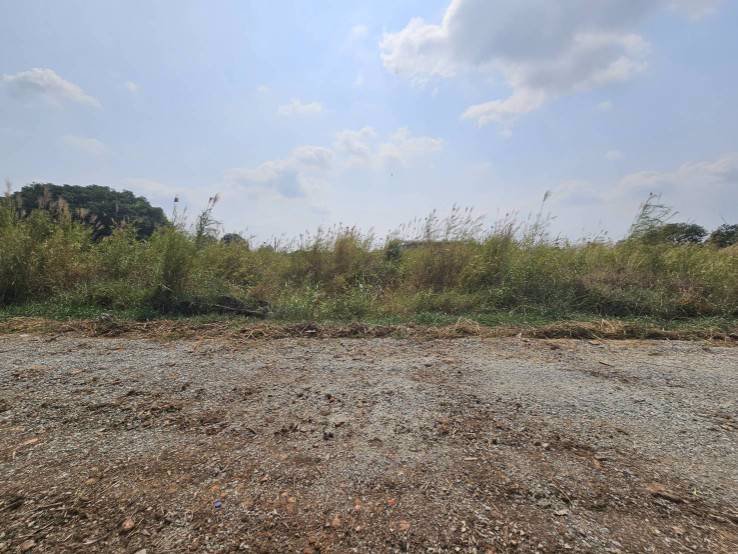 ที่ดินแปลงสวยสี่เหลี่ยมผืนผ้า-แปลงมุม-ซอยวัดศรีวารีน้อย-ศรีษะจรเข้น้อย-อำเภอบางเสาธง-สมุทรปราการ