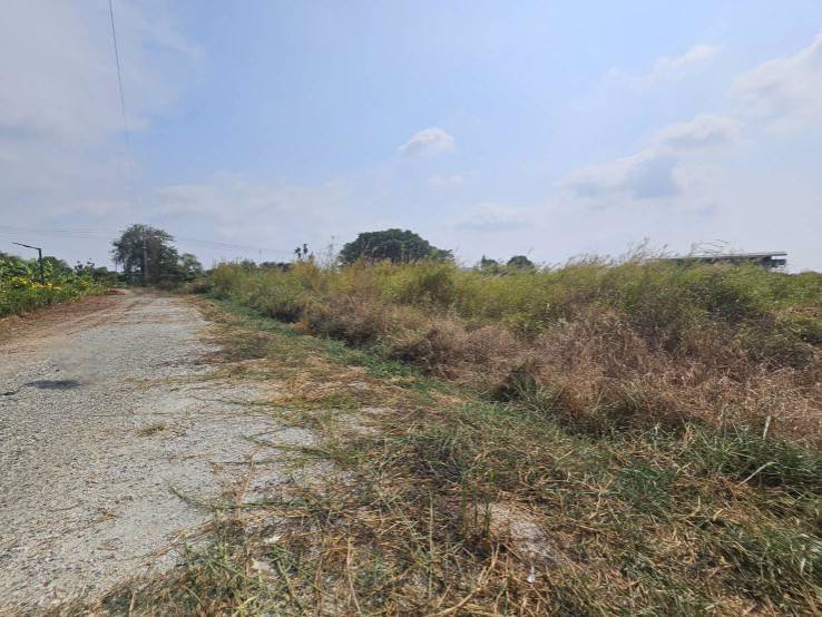 ที่ดินแปลงสวยสี่เหลี่ยมผืนผ้า-แปลงมุม-ซอยวัดศรีวารีน้อย-ศรีษะจรเข้น้อย-อำเภอบางเสาธง-สมุทรปราการ