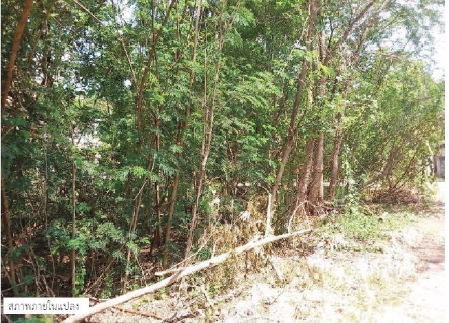 ขายถูก-ที่ดินแปลงเล็ก-โครงการกฤษดานคร-29-รังสิต-คลอง-1-คลองหลวง-89-ตรวเหมาะปลูกบ้าน-พื้นที่สีชมพู