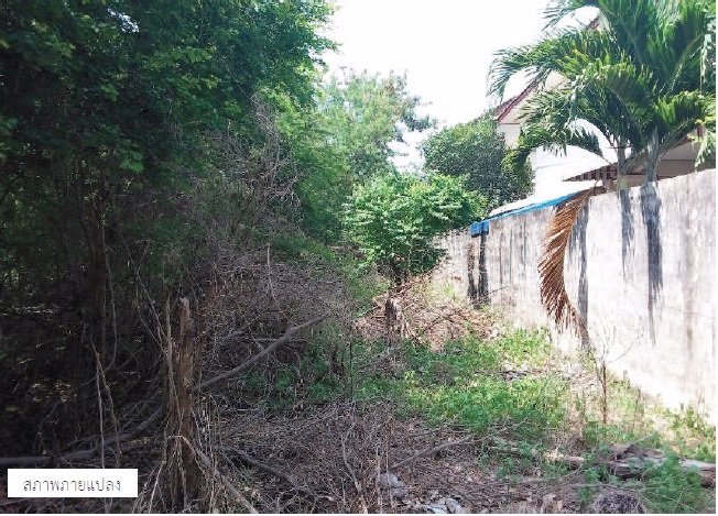 ขายถูก-ที่ดินแปลงเล็ก-โครงการกฤษดานคร-29-รังสิต-คลอง-1-คลองหลวง-89-ตรวเหมาะปลูกบ้าน-พื้นที่สีชมพู