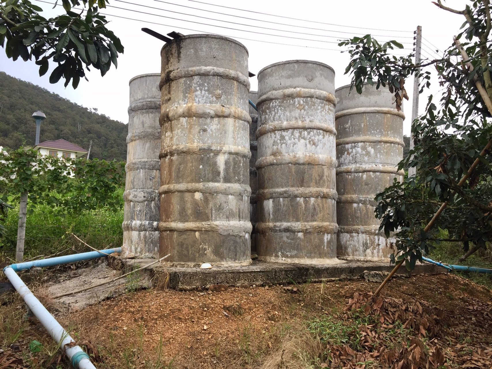 ขายที่ดิน-14-ไร่-3-งาน-74-ตารางวา-พร้อมโฉนด-จ-เชียงใหม่