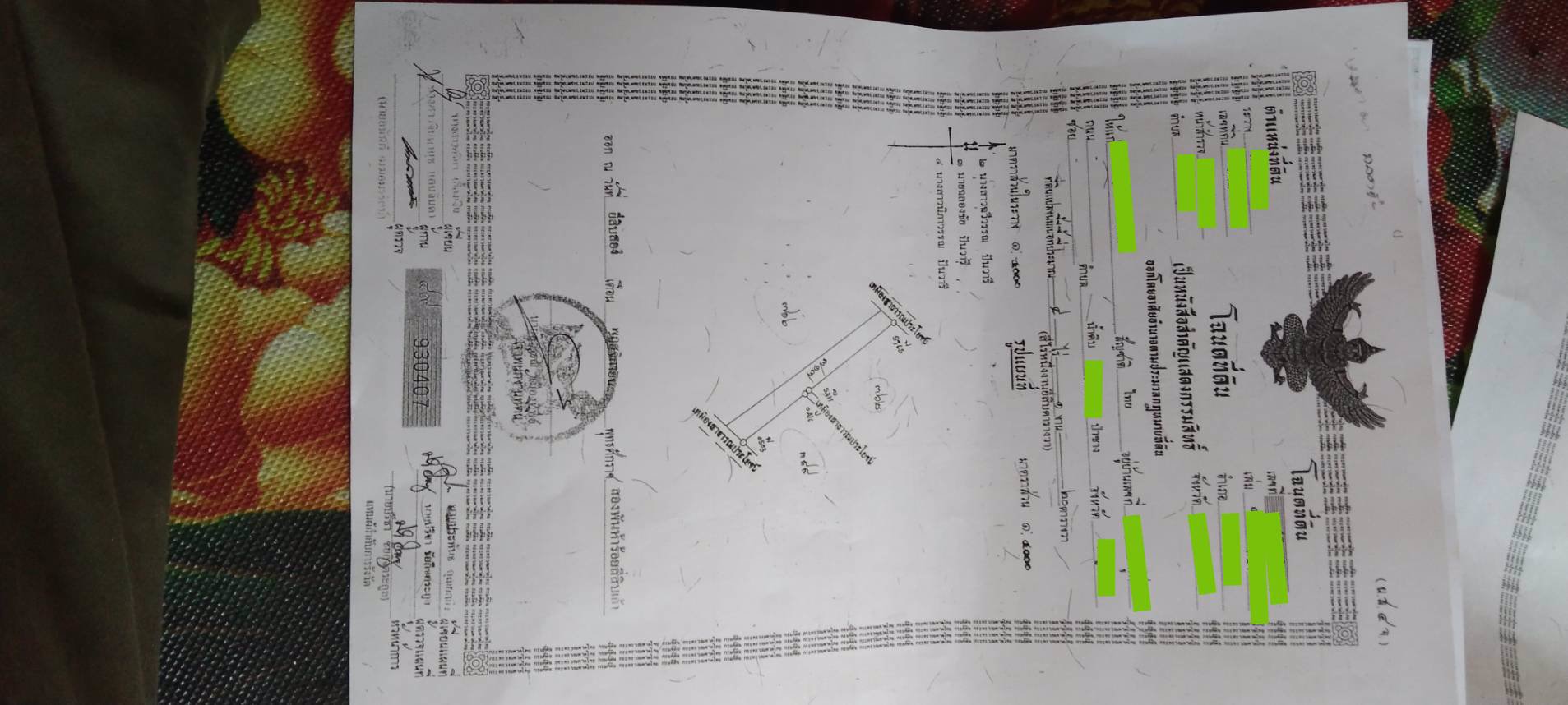 ขายที่ดิน-ไร่ล่ะ-270000-บาท-จังหวัดลำพูน