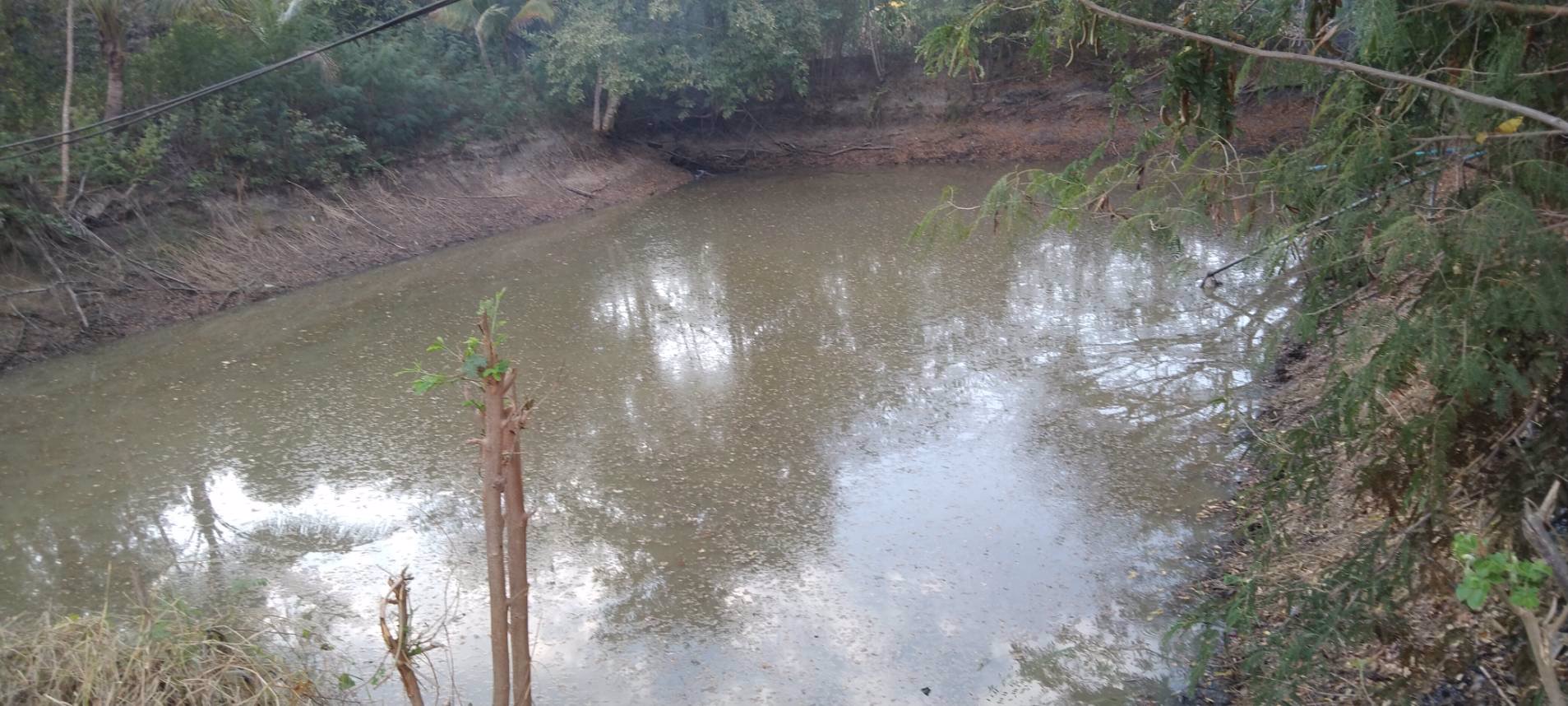 ขายที่ดิน-ไร่ล่ะ-270000-บาท-จังหวัดลำพูน