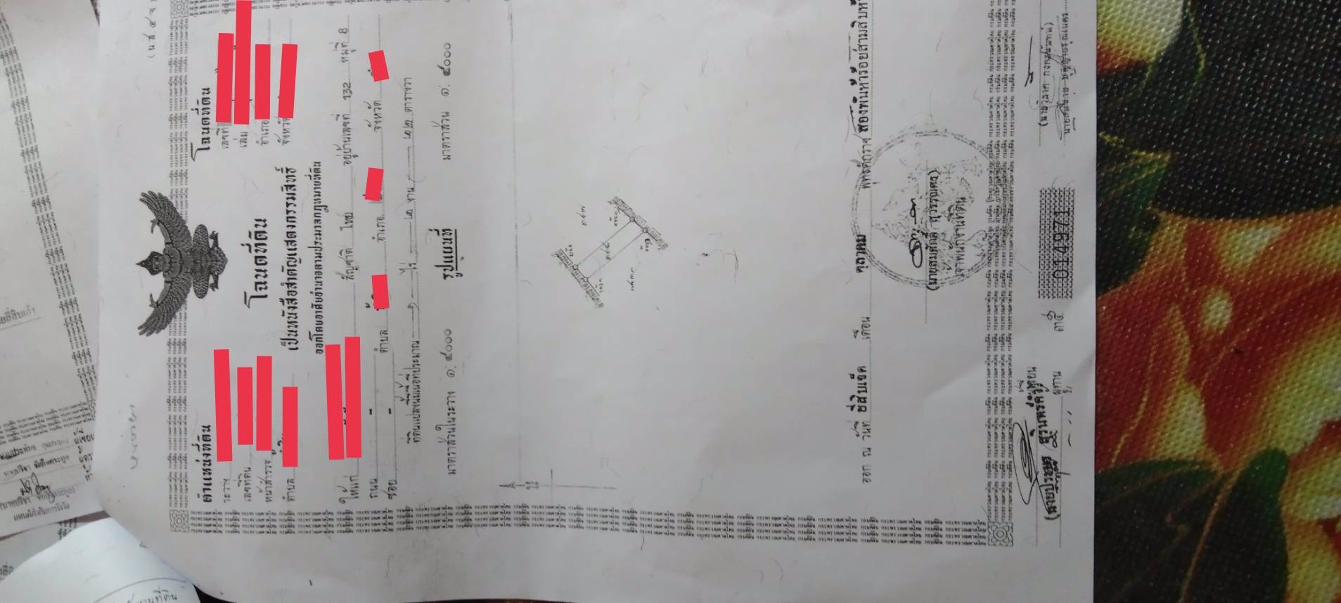 ขายที่ดิน-ไร่ล่ะ-270000-บาท-จังหวัดลำพูน