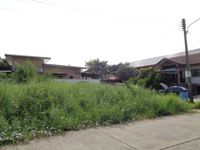 🚩ที่ดินจัดสรร-แปลงสวยหัวมุม-60-ตาราวา-หมู่บ้านเปรมปรีด์-ในซอย-รังสิต-นครนายก-54