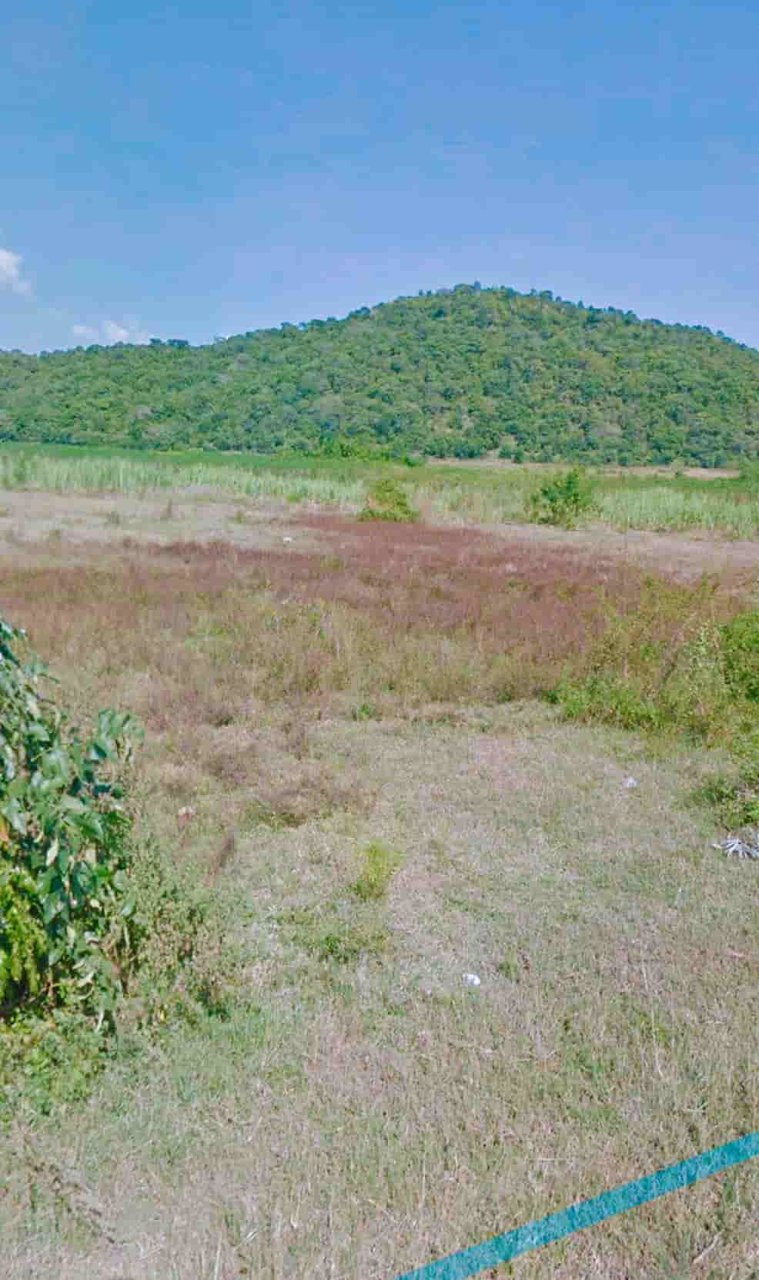 ขายที่ดิน-ติดภูเขาและถนน-อเลาขวัญ-จกาญจนบุรี