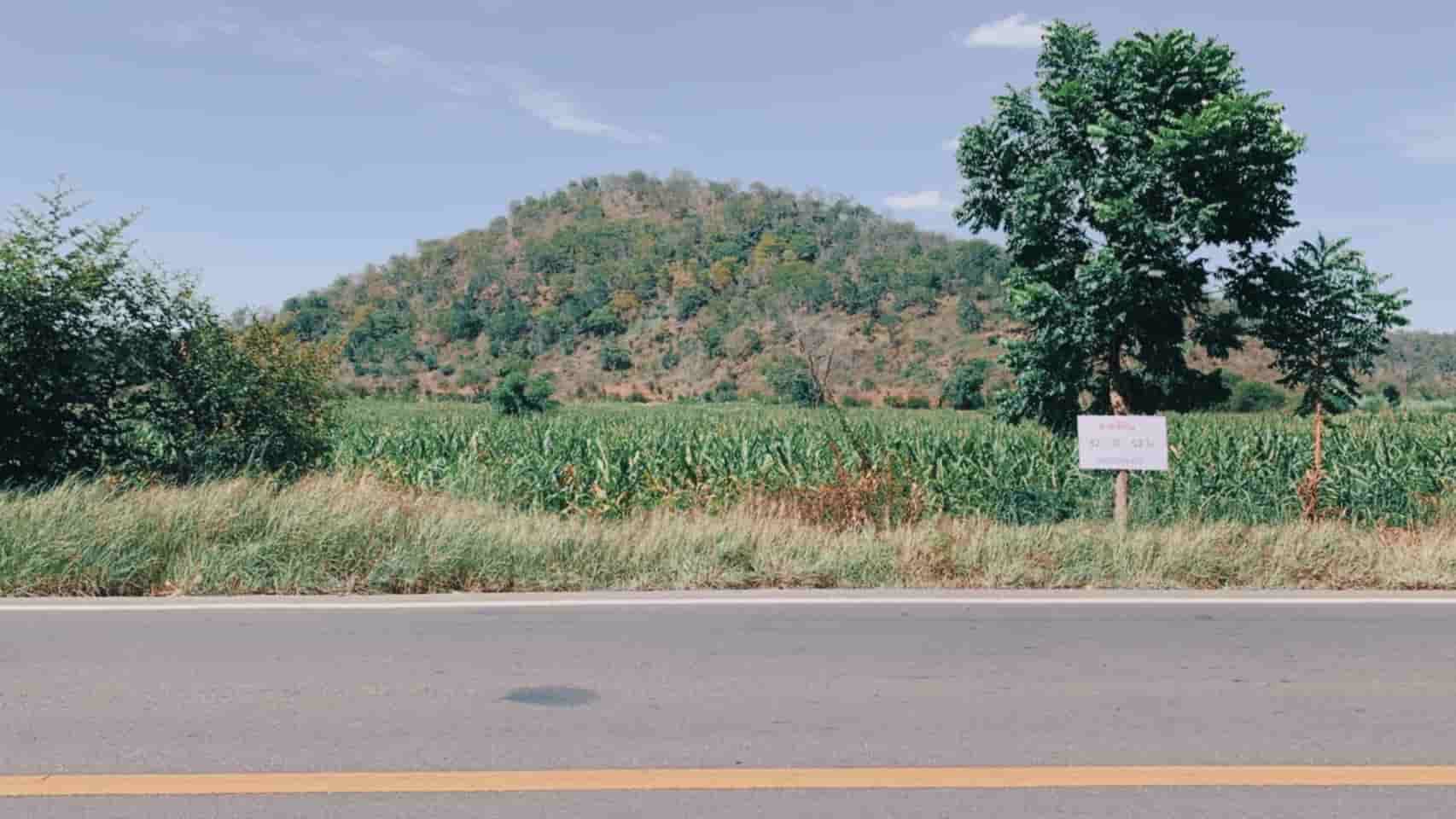 ขายที่ดิน-ติดภูเขาและถนน-อเลาขวัญ-จกาญจนบุรี