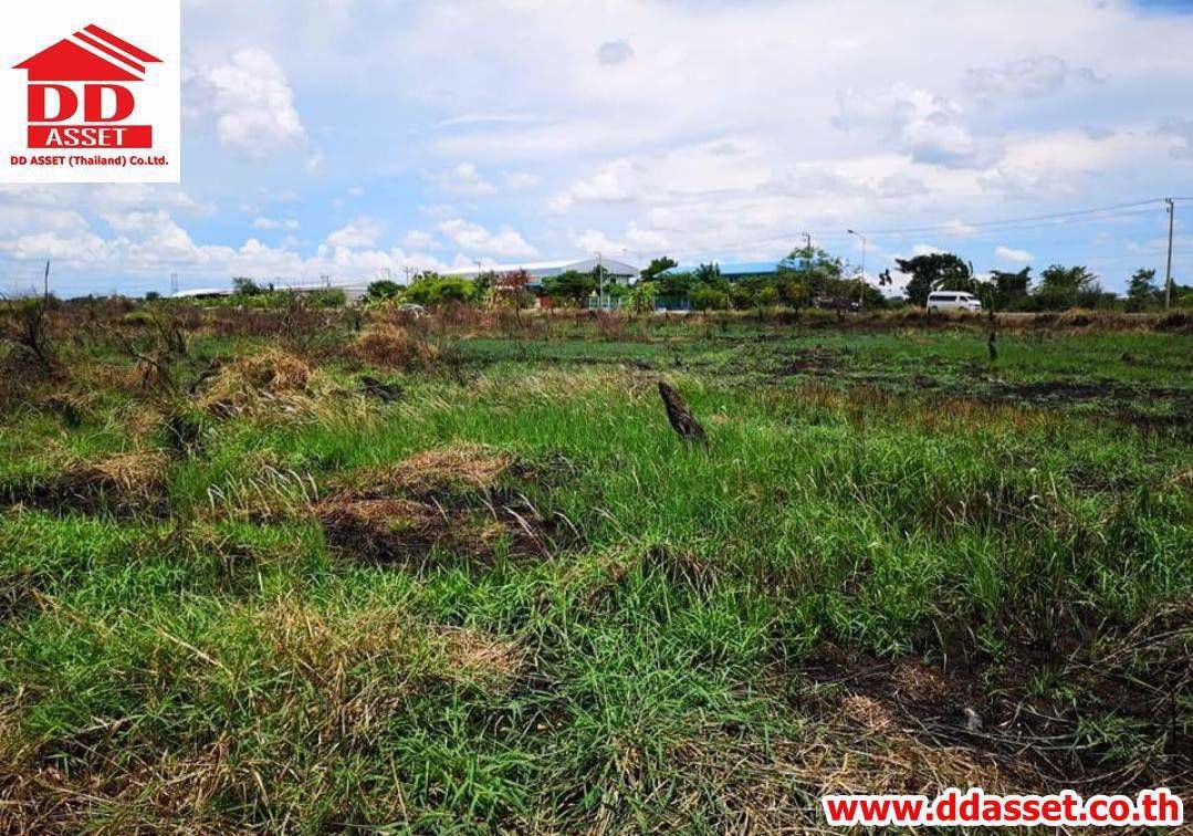 ขายที่ดิน-ติดถนน-ลำลูกกาคลอง-7-ฝั่งตะวันออกเส้นเดียวกับเทศบาลธัญบุรี