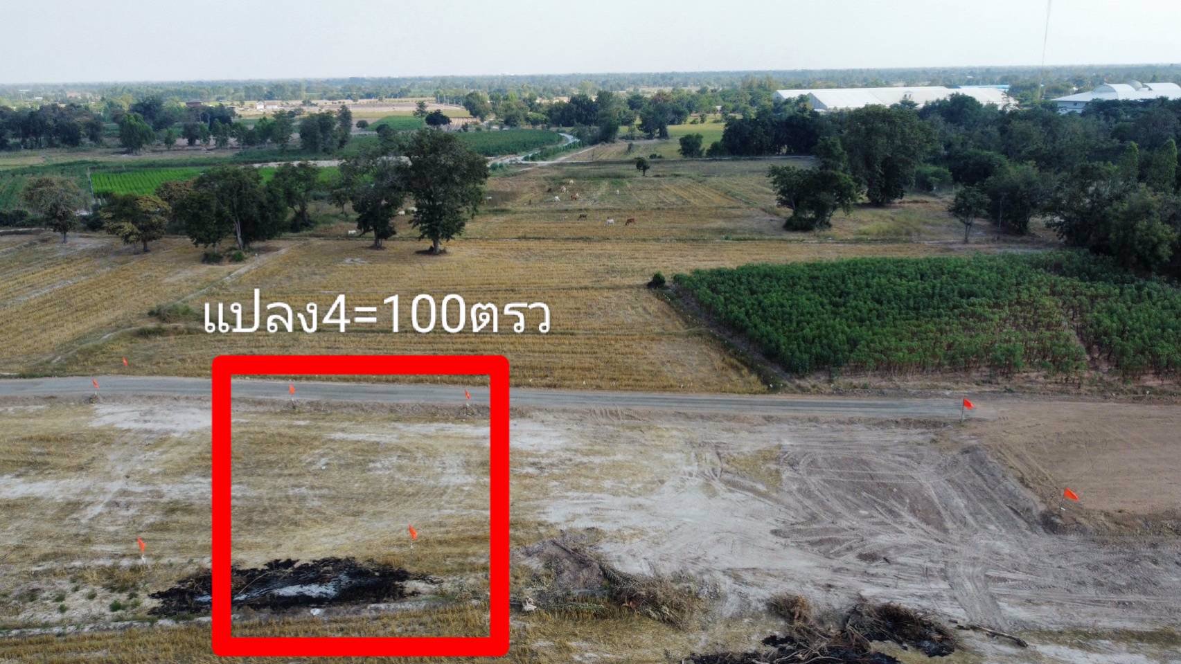 ที่ดินทำเลทอง-ติดถนนคอนกรีต-อดอนเจดีย์-จสุพรรณบุรี