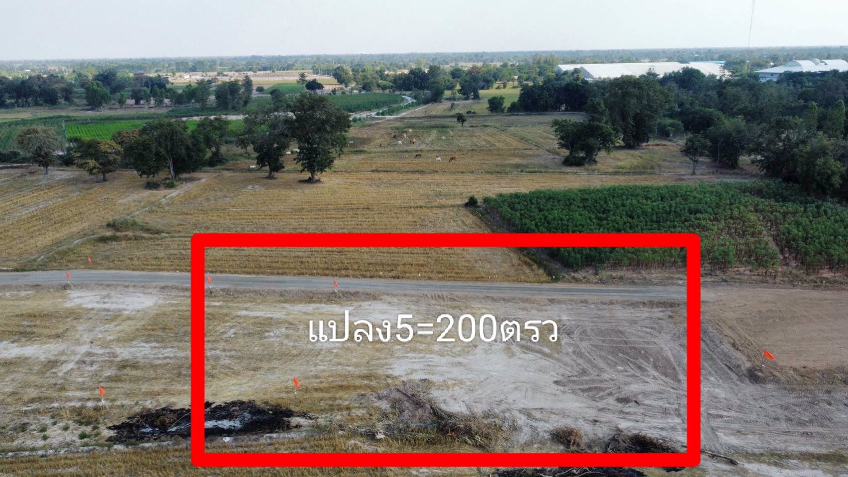 ที่ดินทำเลทอง-ติดถนนคอนกรีต-อดอนเจดีย์-จสุพรรณบุรี