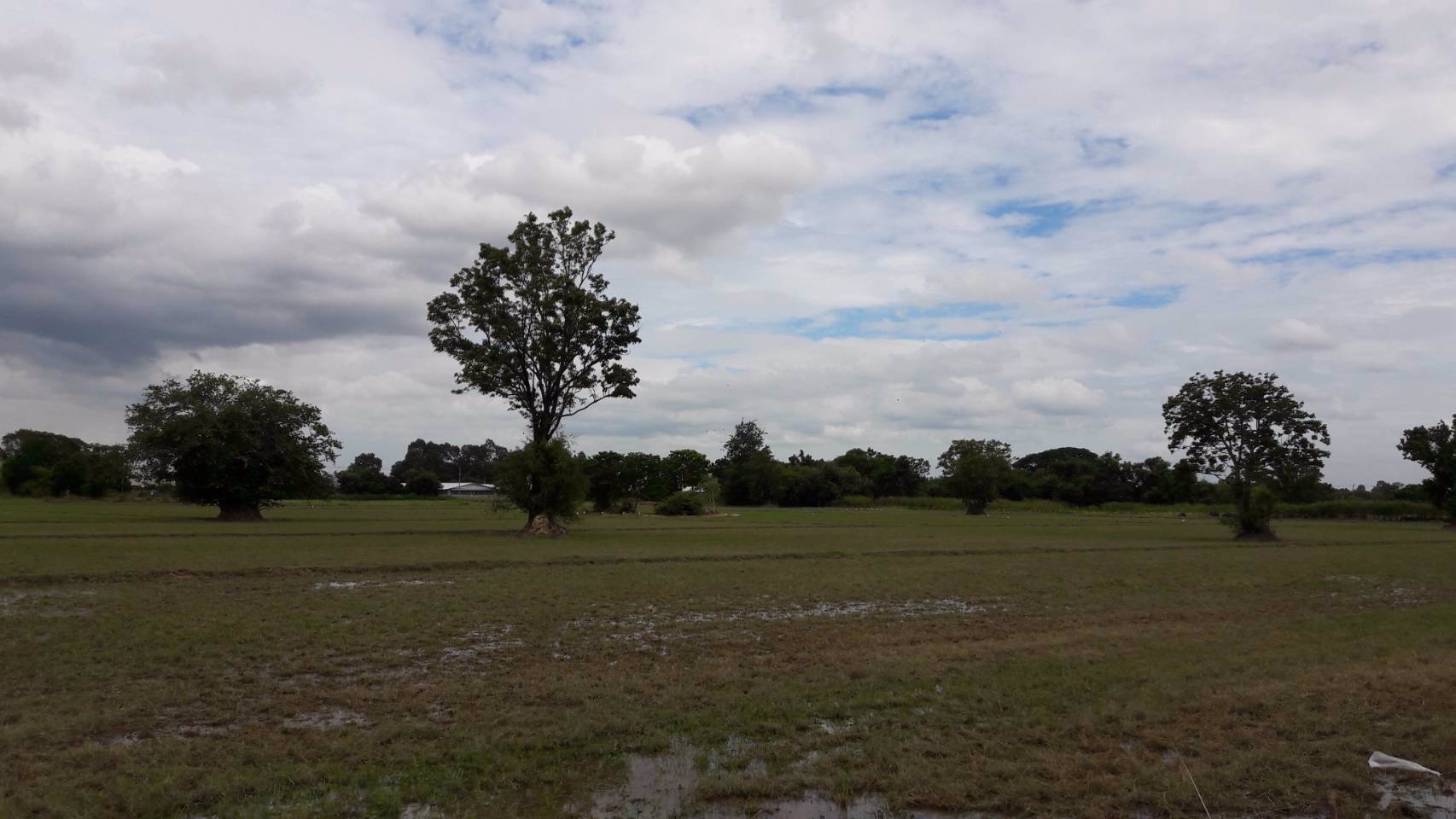 ขายด่วน-ที่ดิน-56ไร่-2งาน-50ตารางวา-ตบ้านพริก-อบ้านนา-จนครนายก