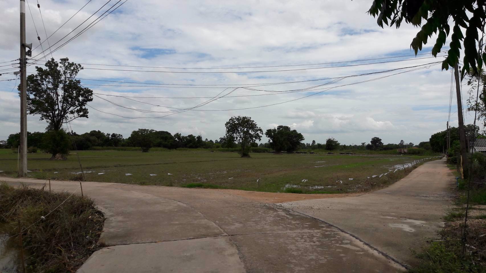 ขายด่วน-ที่ดิน-56ไร่-2งาน-50ตารางวา-ตบ้านพริก-อบ้านนา-จนครนายก