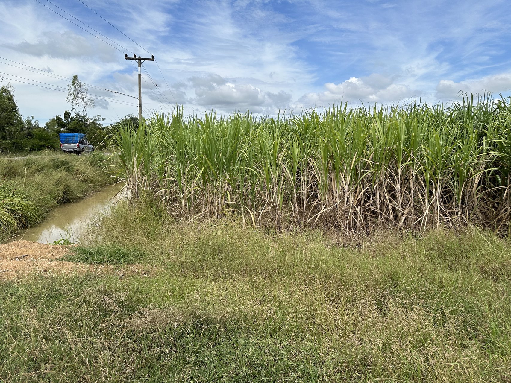 ขายที่ดิน-39ไร่เศษ-บ้านกุดแต้-ตฟากห้วย-ออรัญประเทศ-จสระแก้ว