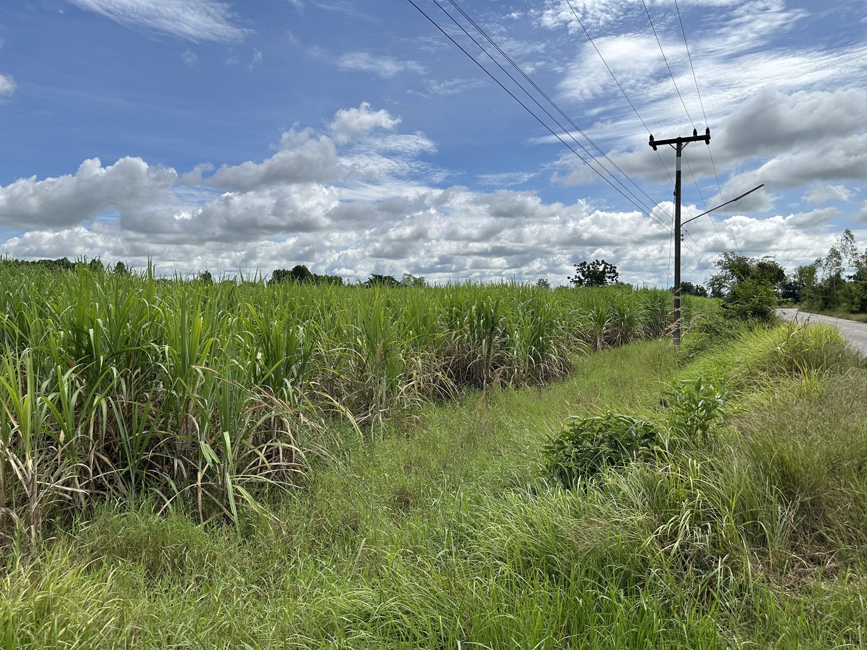 ขายที่ดิน-39ไร่เศษ-บ้านกุดแต้-ตฟากห้วย-ออรัญประเทศ-จสระแก้ว
