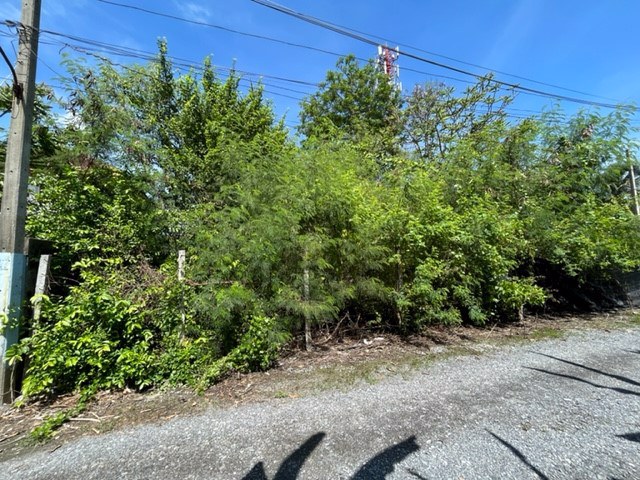 ขายที่ดิน-100-ตารางวา-แถววัดดอนหวาย-อสามพราน-นครปฐม-เหมาะทำบ้านพักอาศัย