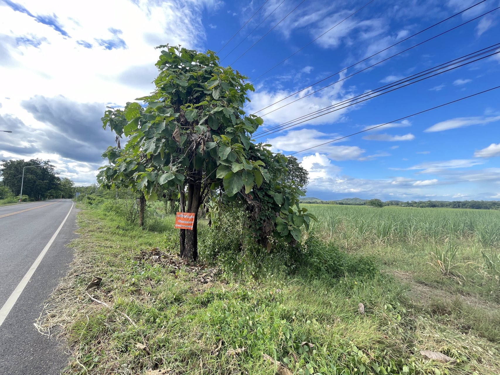 ขายที่ดิน-เนื้อที่-7-ไร่-2-งาน-42-ตารางวา-เจ้าของขายเอง-