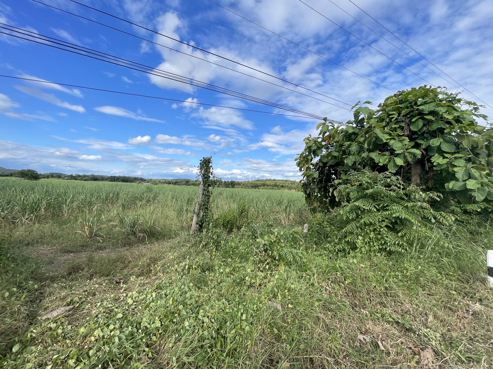 ขายที่ดิน-เนื้อที่-7-ไร่-2-งาน-42-ตารางวา-เจ้าของขายเอง-