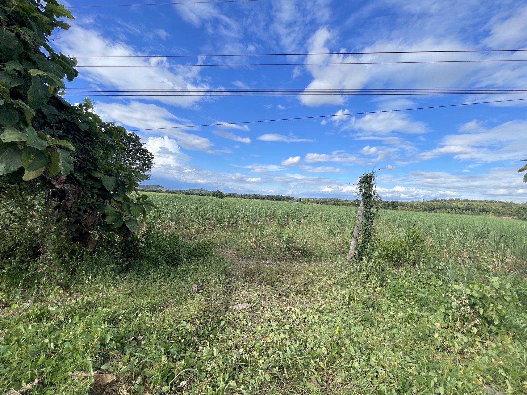 ขายที่ดิน-เนื้อที่-7-ไร่-2-งาน-42-ตารางวา-เจ้าของขายเอง-