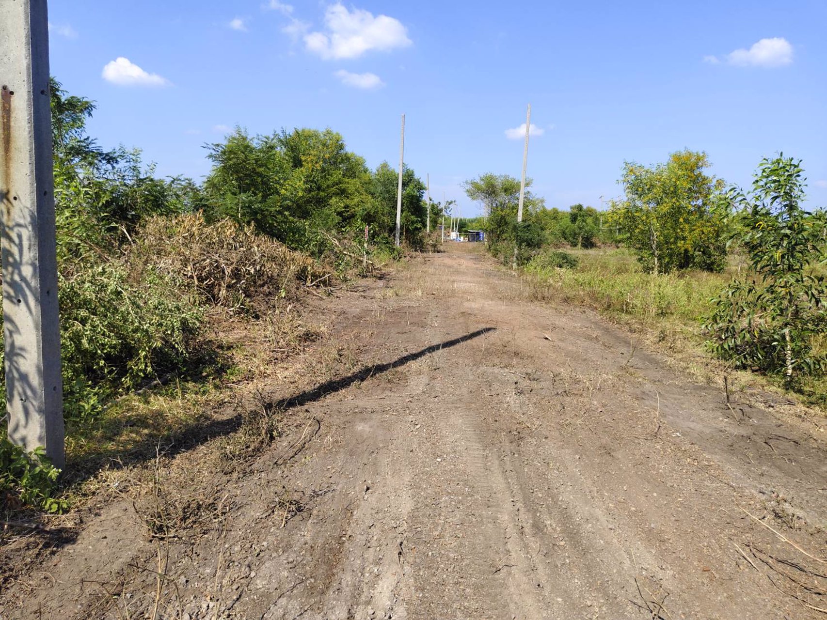 ขายที่ดิน-2-แปลง-เนื้อที่รวม-571-ตารางวา