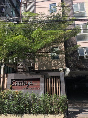ขายห้องชุด-แคทลียา-สุขุมวิท-72-พื้นที่-31-ตรม-1นอน1น้ำ-ใกล้สถานีรถไฟฟ้า-bts