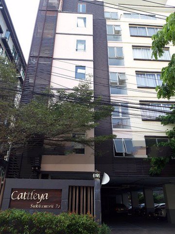 ขายห้องชุด-แคทลียา-สุขุมวิท-72-พื้นที่-31-ตรม-1นอน1น้ำ-ใกล้สถานีรถไฟฟ้า-bts