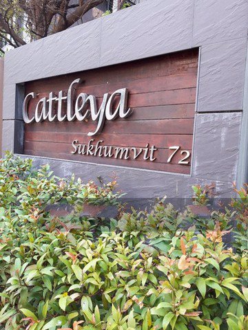 ขายห้องชุด-แคทลียา-สุขุมวิท-72-พื้นที่-31-ตรม-1นอน1น้ำ-ใกล้สถานีรถไฟฟ้า-bts