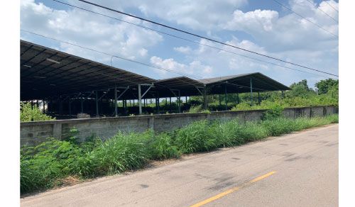 ที่ดินพร้อมโกดัง-โรงไม้-17-ไร่-310-ตรว-ติดถนนพระราม2-อเมือง-จสมุทรสงคราม