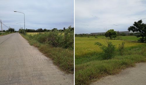 ขายที่ดินเปล่า-45-ไร่-ติดศูนย์กระจายสินค้าโลตัส-สามโคก-จปทุมธานี