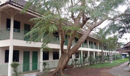 ขายสนามกอล์ฟ-18-หลุม-ติดแม่น้ำท่าจีน-เขตบางเลน-จนครปฐม