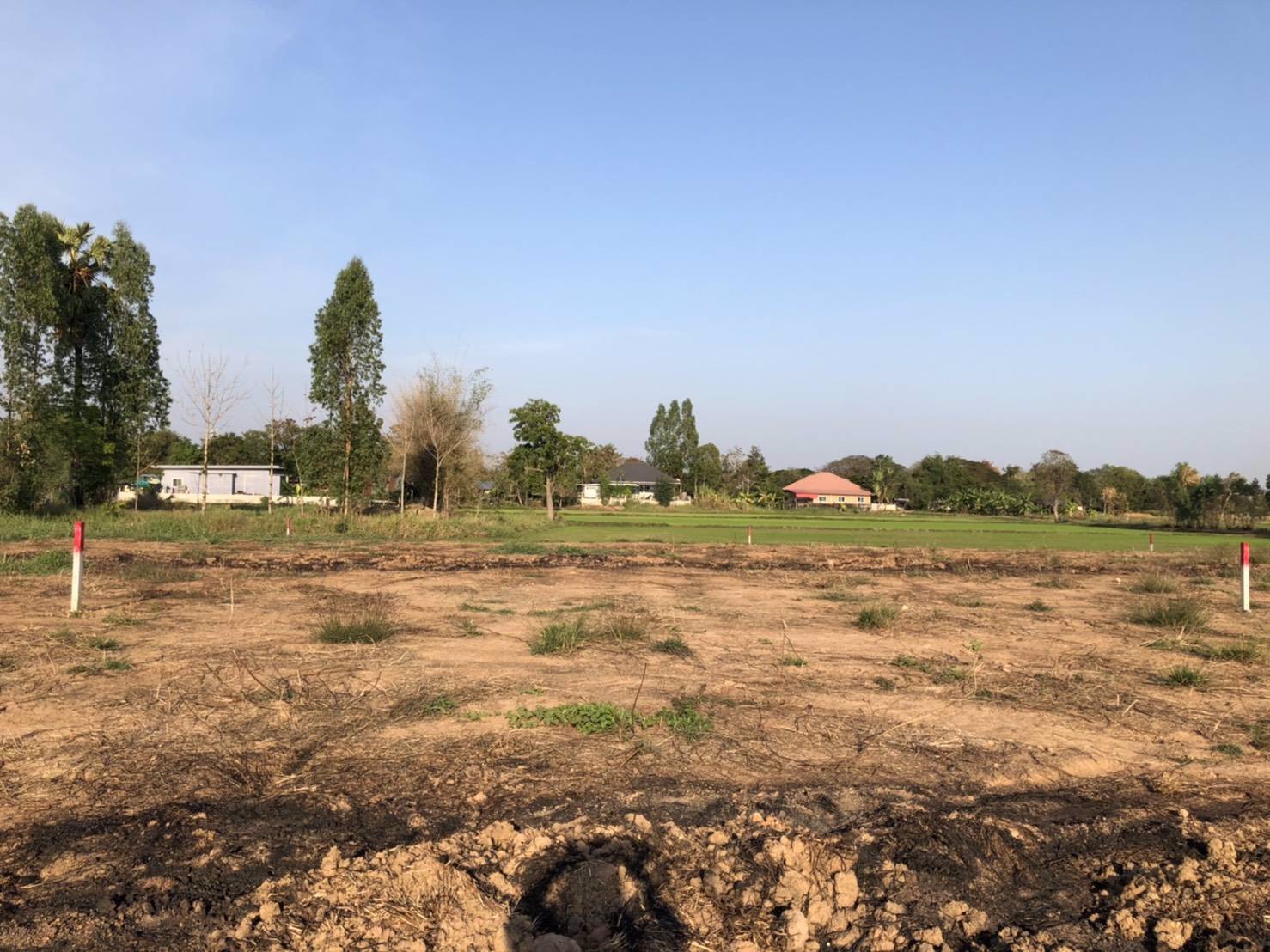 ขายที่ดินเปล่าสำหรับปลูกสร้างที่อยู่อาศัย-บ้านสวน-ที่สวย-น้ำไม่ท่วมแน่นอน