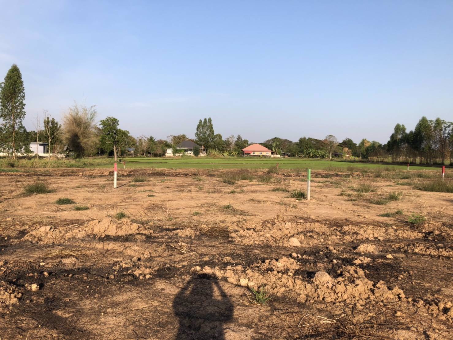 ขายที่ดินเปล่าสำหรับปลูกสร้างที่อยู่อาศัย-บ้านสวน-ที่สวย-น้ำไม่ท่วมแน่นอน